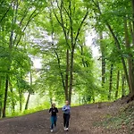 Na Klenici 4*