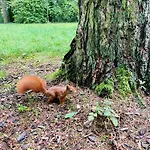 Na Klenici 4* Mlada Boleslav
