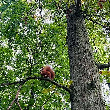 Na Klenici Aparthotel Mlada Boleslav