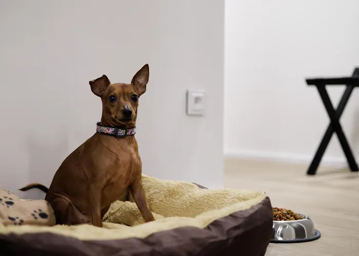 شقة فندقية Na Klenici