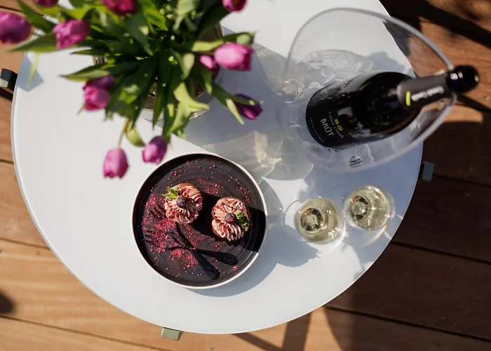 公寓式酒店 Na Klenici