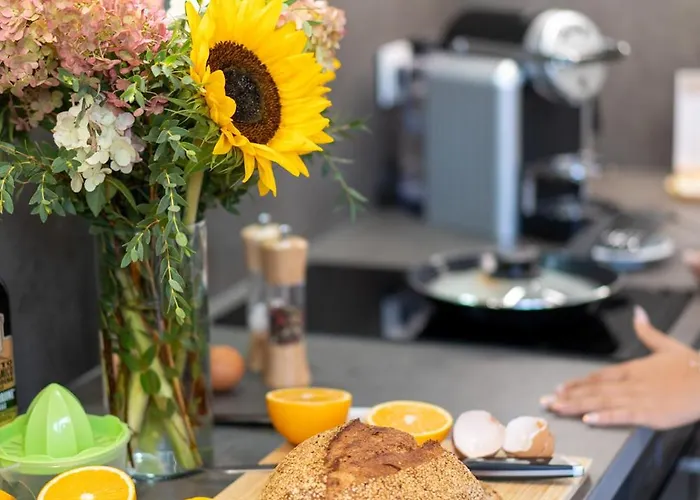 公寓式酒店 Na Klenici