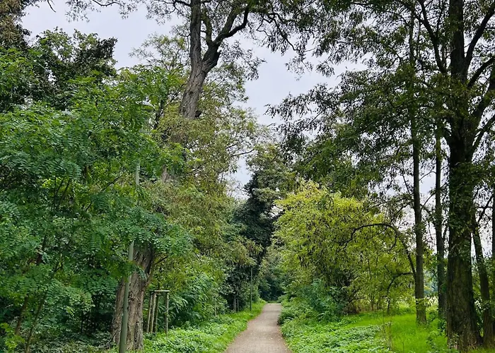 شقة فندقية Na Klenici 4*