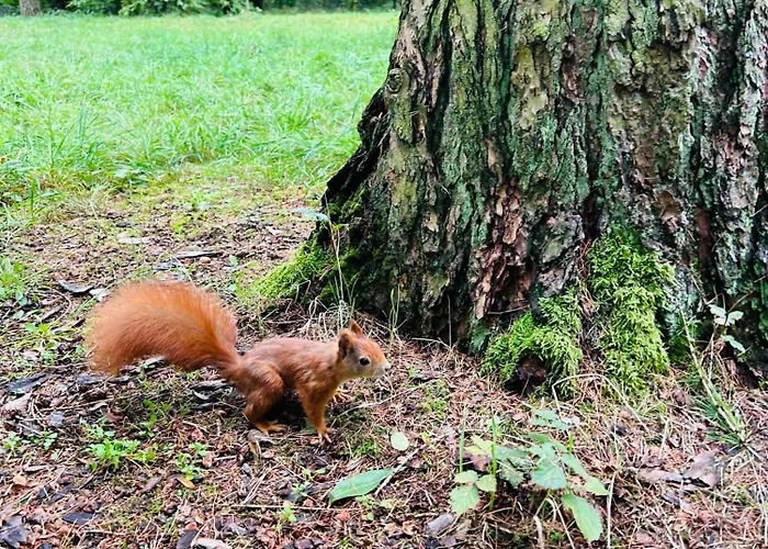 Na Klenici 4* Млада-Болеслав
